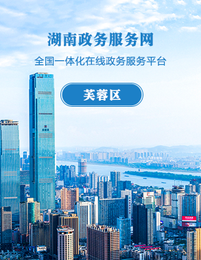 湖南政务服务网全国一体化在线政务服务平台